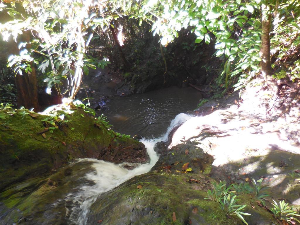 Nuquimar 3*